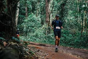 BIB: 
                            <button type="button" onclick="openModal(25395296)" class="btn btn-primary btn-sm float-right btn-popup" data-toggle="modal" data-target=".modal-high-quality">
                        <i class="fas fa-shopping-cart"></i> Add to Cart
                    </button>
                                            <button type="button" onclick="isThisMe(25395296, true)" class="btn btn-success btn-sm float-right btn-popup btn-isme hidden" data-toggle="tooltip" data-placement="bottom" title="นี่คือรูปของคุณใช่ไหม คลิกที่นี่เพื่อเอาเข้าอัลบั้ม">
                        <i class="fas fa-plus"></i> Add to album
                    </button>
                    <button type="button" onclick="isThisMe(25395296, false)" class="btn btn-warning btn-sm float-right btn-popup btn-isnotme hidden">
                        <i class="fas fa-ban"></i> Remove from album
                    </button>